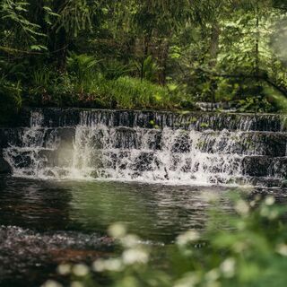 Der Ellbach im Baiersbronner Ortsteil Mitteltal