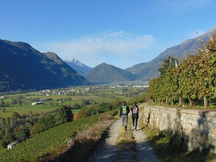 Pendeggio