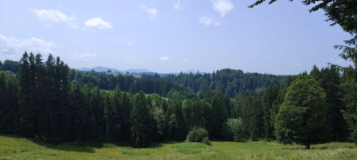 Fotografia z Ich 1 na trase