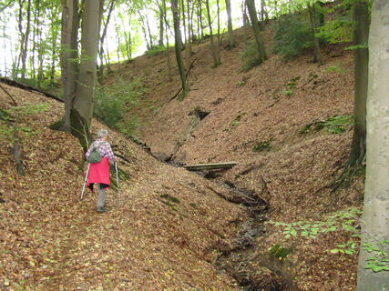 Bergischer Weg bei Broich