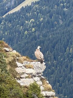 Photo de Niels Kooijman le long du parcours