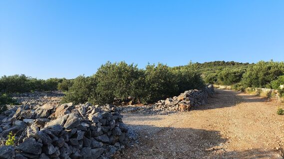 Photo de WilliSt le long du parcours