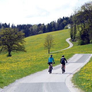 Am Fuß des Buchbergs führt auch ein beliebter Radweg entlang.