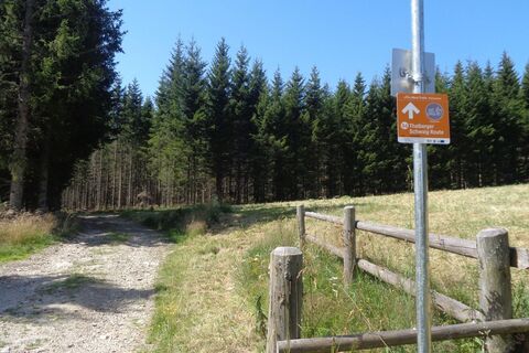 Route 56 - Wexl Trails
