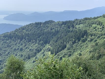 Foto von Koen De Wit entlang der Tour