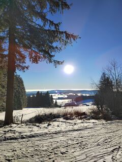 Fotografia z ReginaSt na trase