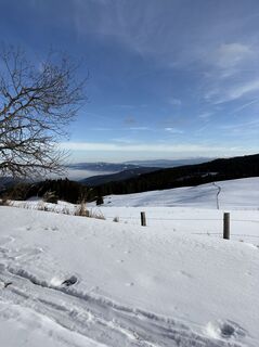 Photo de Reinhard Frewein le long du parcours