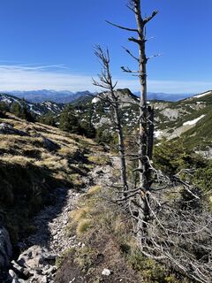Zdjęcie z Richard Niedermüller wzdłuż trasy