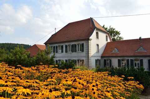 Gartenansicht im Jagdschloss