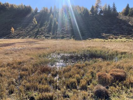 Foto von Jelena Kuehn entlang der Tour