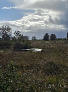 Foto von Angelika Gerung entlang der Tour