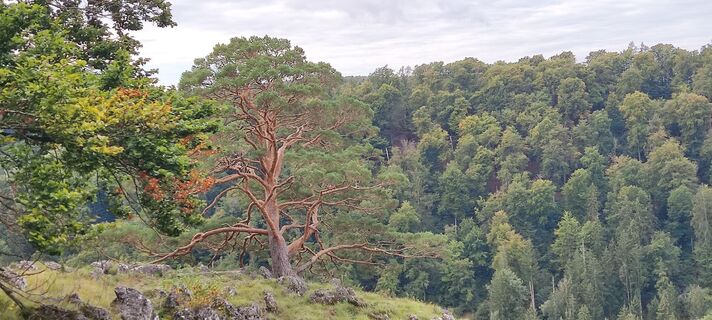 Photo de Werner Golsner le long du parcours