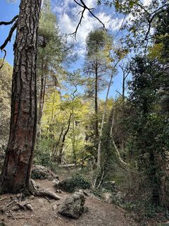 Fotografie z mido na trase