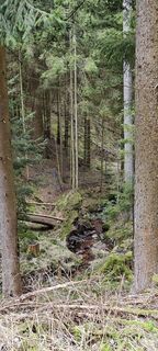 Foto von damilaja242 entlang der Tour