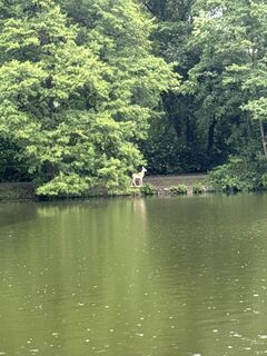 Zdjęcie z Harald Engel wzdłuż trasy