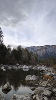 Fotografia z Cati W1985 na trase