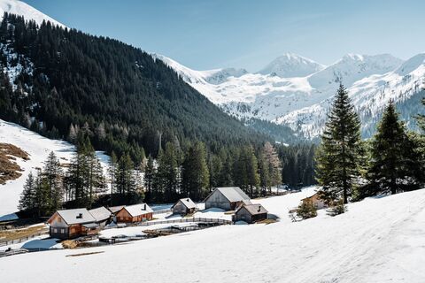 Almengebiet am Sölkpass