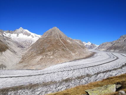Fotografija s spletne strani froehlth na poti