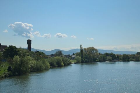 Neckarblick Ladenburg