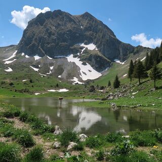 Gürbequelle - Rundwanderung Gürbequelle