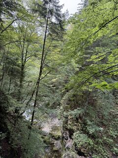 Fotografie de la Olena Duriagina de-a lungul turului