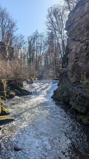Foto von hochlandfamilie entlang der Tour