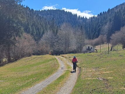 Foto de JoesBurg a lo largo del recorrido
