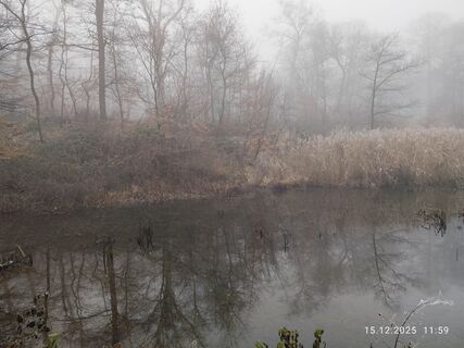 Fotografia z Barbara Galle na trase