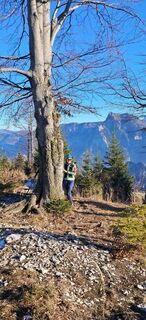 Foto von Ernst1904 entlang der Tour