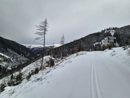 Foto von Arnulf Müller entlang der Tour