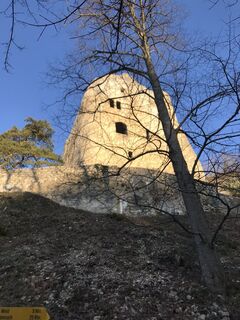 Foto von Mathias Junge 1 entlang der Tour