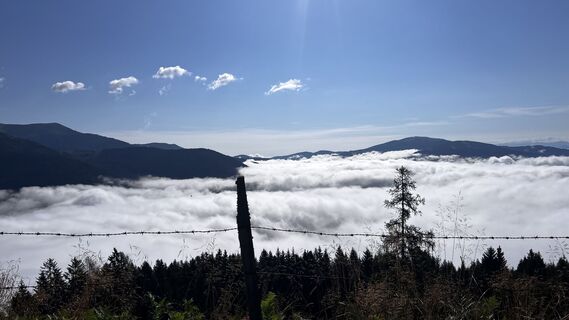 Foto von Jürgen Petz 1 entlang der Tour