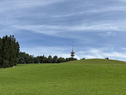 Zdjęcie z Ilona Schuster wzdłuż trasy