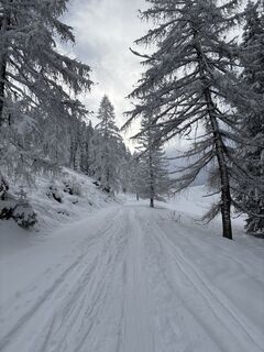 Photo de Heinz Sperl le long du parcours