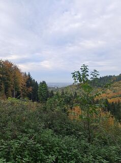 Fotografia z W B MA na trase