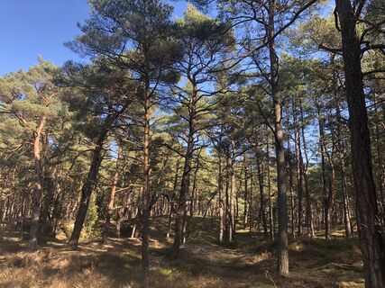 Zdjęcie z Ruth Gurk wzdłuż trasy