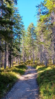 Foto de Theresia Weissenbacher a lo largo del recorrido