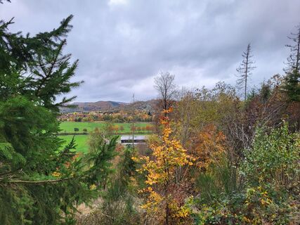 Ausblick vom Hasenkammerblick / Weddelberg