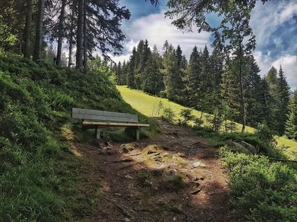 Bankerl für eine Pause beim Aufstieg am Wanderweg # 60 Hochwurzen