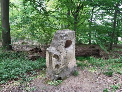 Sinnespfad am Schlehberg