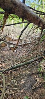 Foto van Andreas Henning langs de tour