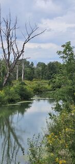 Foto från garrincha under resans gång