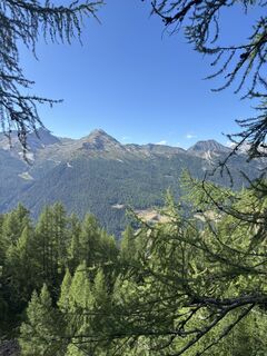 Fotografija s spletne strani mo na poti