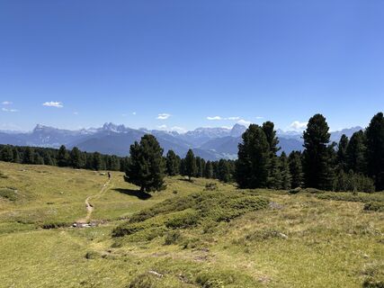 Foto von Olaf Sennhenn entlang der Tour