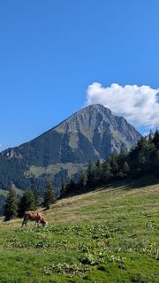 Foto von Ziegler Em1304 entlang der Tour