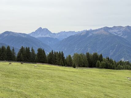 Foto från Frank de Vries under resans gång
