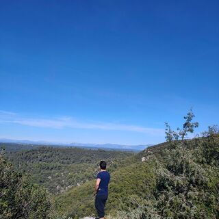 Landschaft