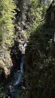 Fotografija s spletne strani Heikoala na poti