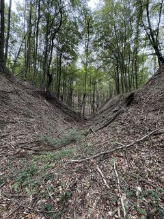 Foto de Sáfrány Tamás a lo largo del recorrido