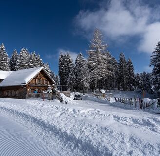 Skihaus Gamperfin